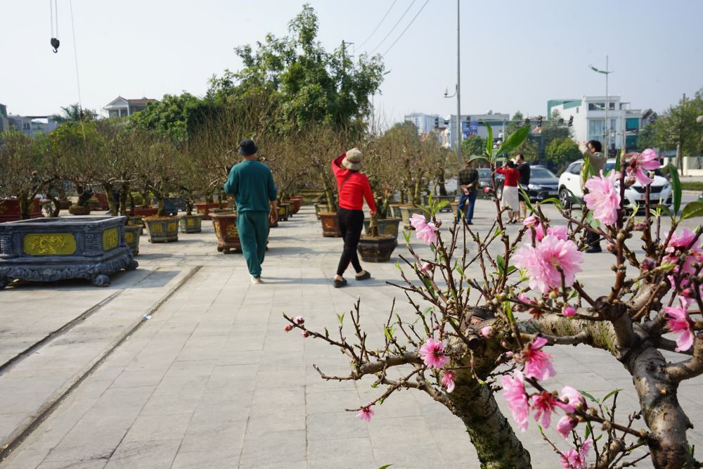 Sac Xuan ron rang tren nhieu tuyen pho o TP Thanh Hoa. Anh: Quach Du