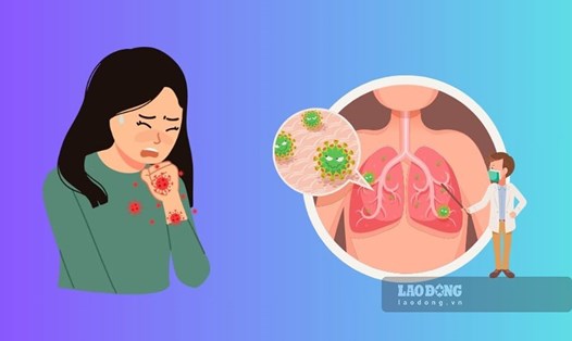 Trong năm 2024, Bình Định ghi nhận 16 trường hợp dương tính với cúm A/H1pdm, trong đó có 4 ca tử vong. Đồ họa: Phương Thảo