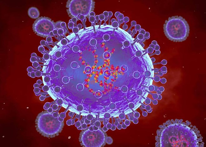 Computer illustration of the HMPV virus outbreak in China. Photo: clinicaladvisor.com