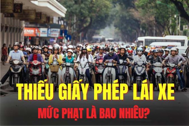 Mức phạt khi không mang theo giấy phép lái xe năm 2025