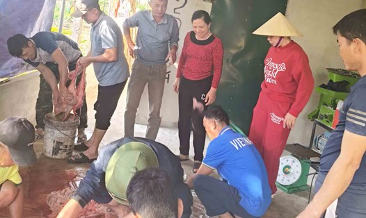 Gia đình cầu thủ Phạm Xuân Mạnh tại Minh Thành, Yên Thành mổ bò mời mọi người cùng dự tiệc để xem trận chung kết AFF Cup 2024. Ảnh: Quang Đại