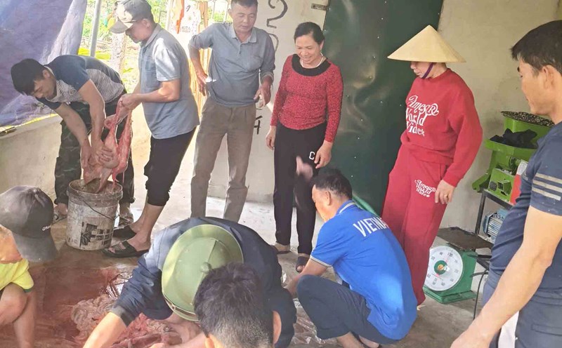 Football player Pham Xuan Manh's family in Minh Thanh, Yen Thanh slaughtered a cow and invited everyone to a party to watch the AFF Cup 2024 final. Photo: Quang Dai