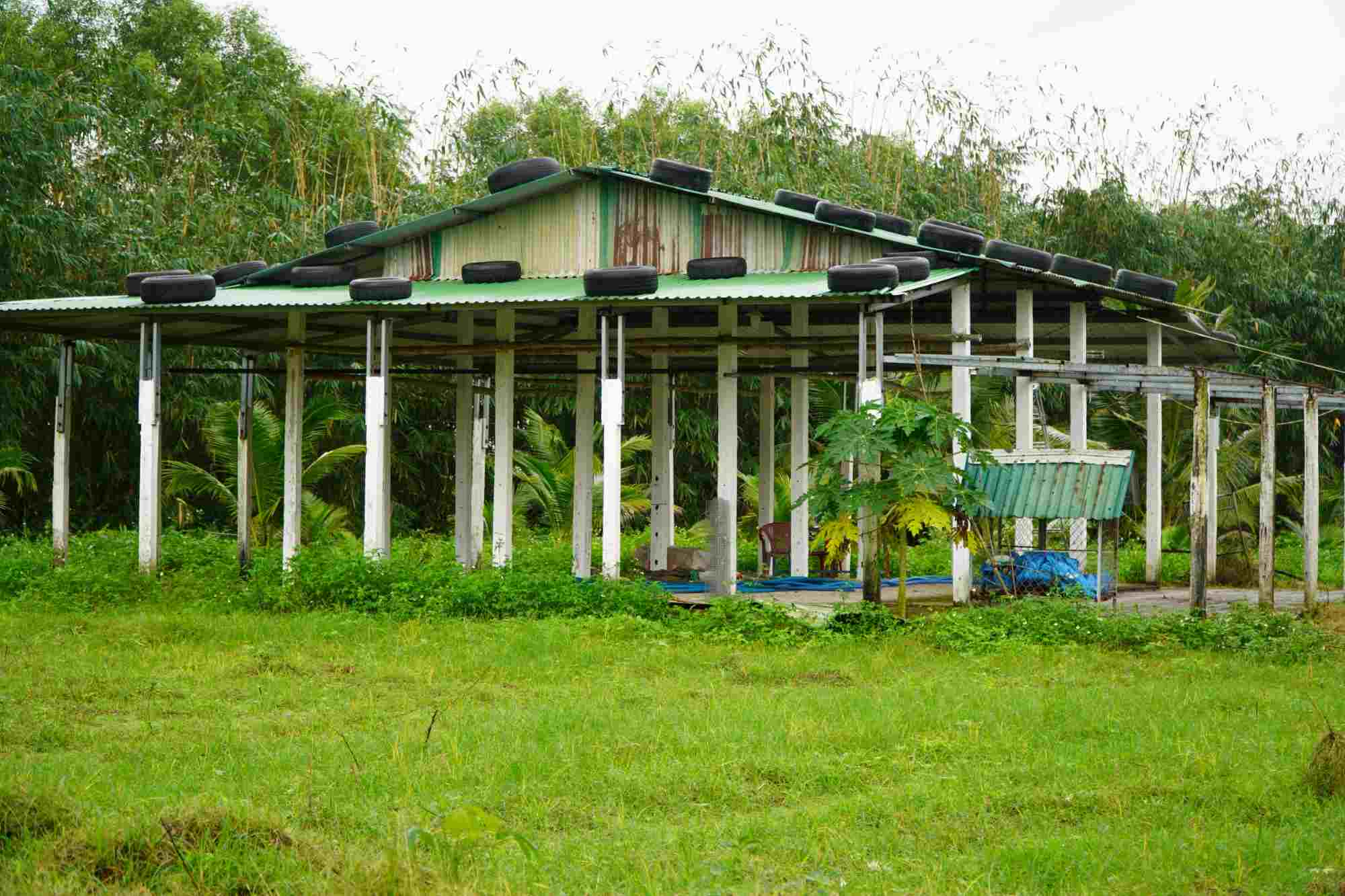 The project's goal is to produce leafy vegetables, fruit vegetables... Capacity: 1 ton of vegetables and fruit/day; about 300 tons of vegetables and fruit/year. But for many years, the project campus has been deserted and desolate. Photo: Vien Nguyen