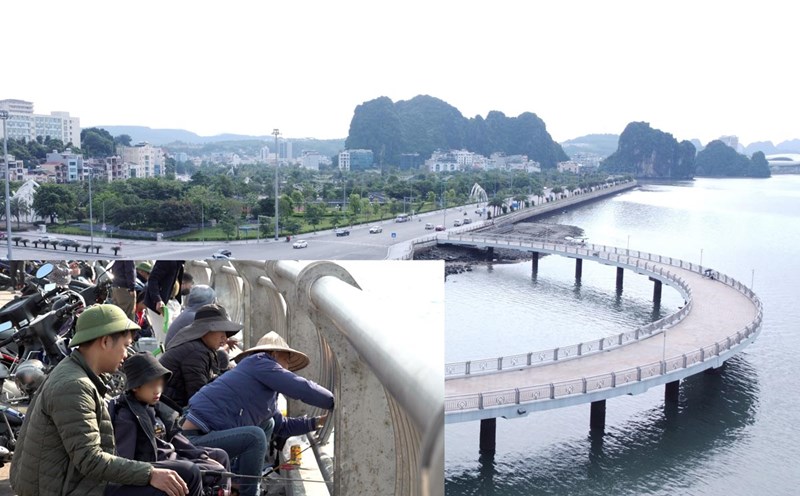 Crescent Bridge, a million-view fishing spot in Ha Long City. Photo: Doan Hung
