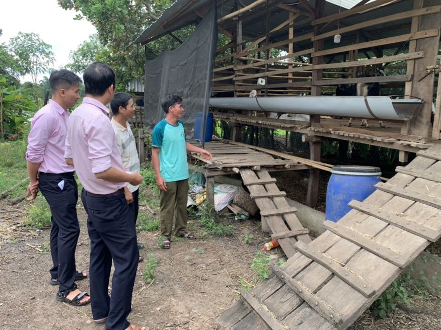 With loans from the Social Policy Bank, people in Buon Don district have proactively produced and escaped poverty. Photo: Kien Giang