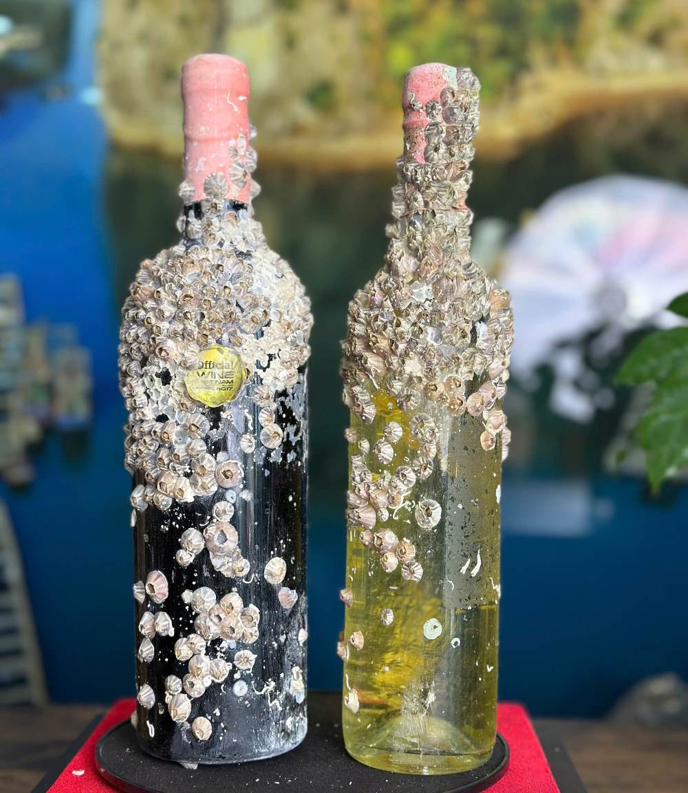 Two bottles of Dalat wine have just been salvaged from the bottom of Ha Long Bay. Photo: Nguyen Hung