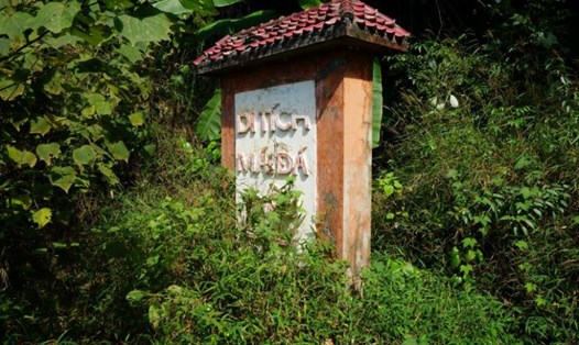 Cỏ dại mọc um tùm bên trong khuôn viên khu di tích. Ảnh: Quách Du