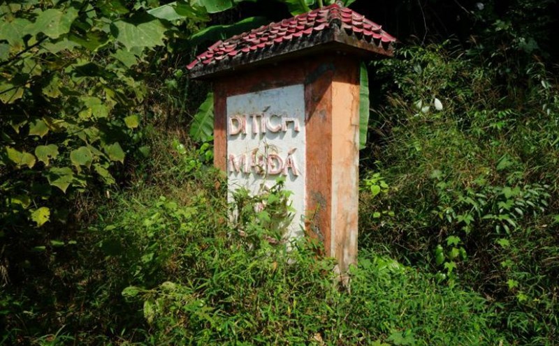 Weeds grow wildly inside the relic site. Photo: Quach Du