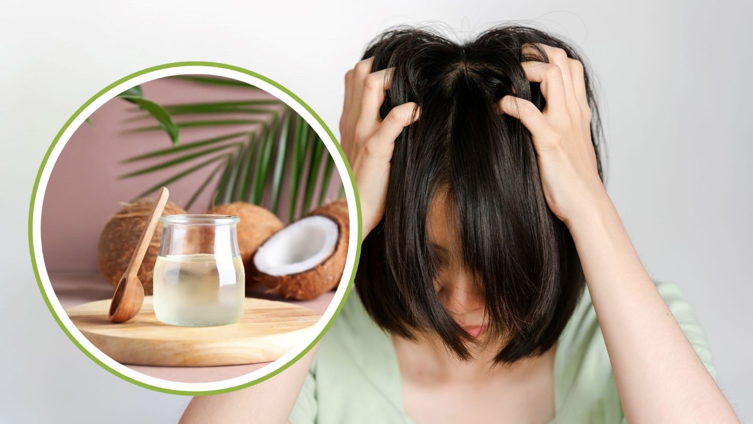 Coconut oil helps reduce itchy scalp. Graphics: Thanh Thanh