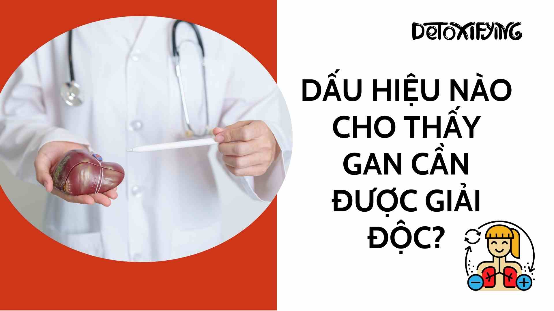 What are the signs that your liver needs detoxification? Graphics: Cao Thom