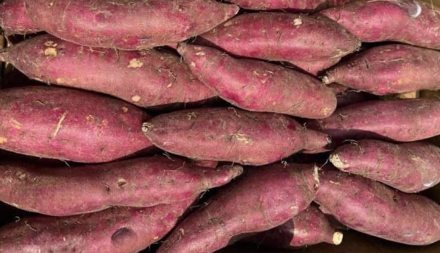 If you want to supplement collagen and beautify your skin, you should eat sweet potatoes properly. Photo: Ha Anh