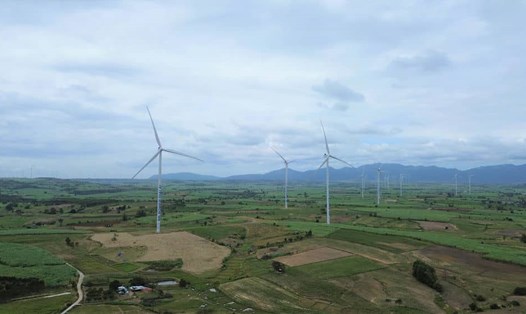 Cánh đồng điện gió ở huyện Kông Chro, tỉnh Gia Lai. Ảnh: Thanh Tuấn