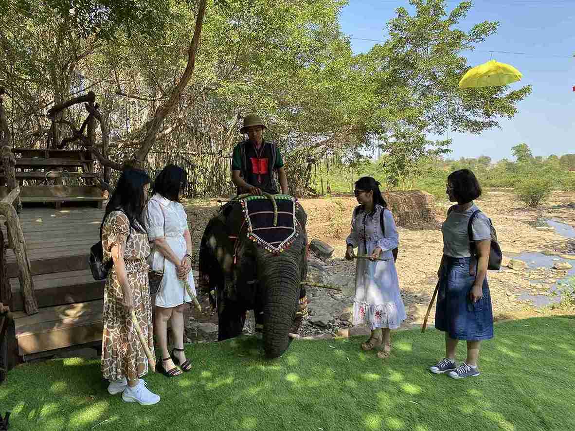 Tourists experience elephant-friendly services when visiting Dak Lak province. Photo: Bao Trung