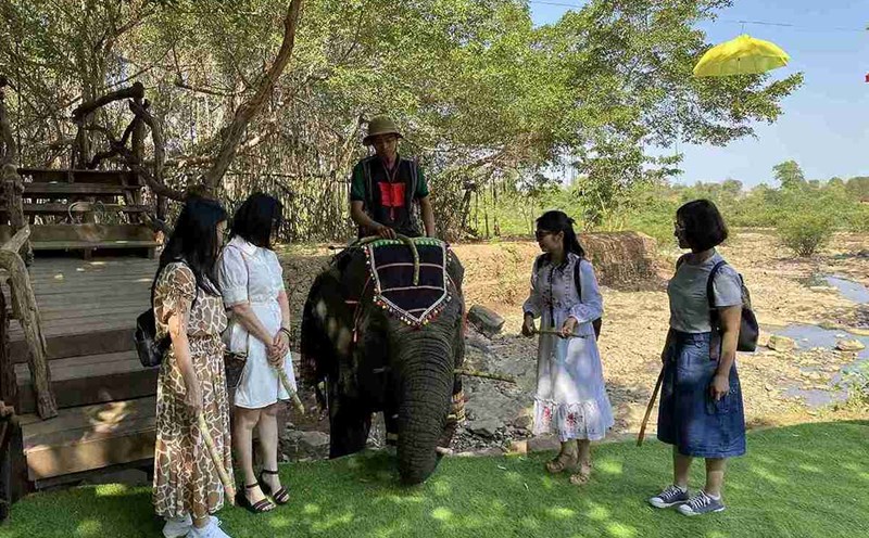 Tourists experience elephant-friendly services when visiting Dak Lak province. Photo: Bao Trung