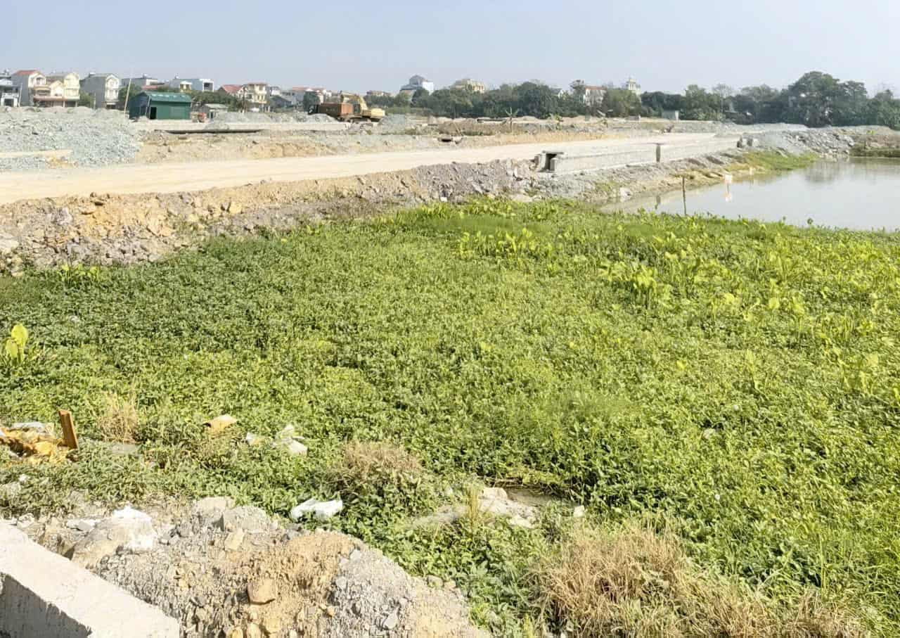 Land prices in Dong Oi residential area (Ninh My commune, Hoa Lu district, Ninh Binh) are up to nearly 47 million VND/m2. Photo: Nguyen Truong