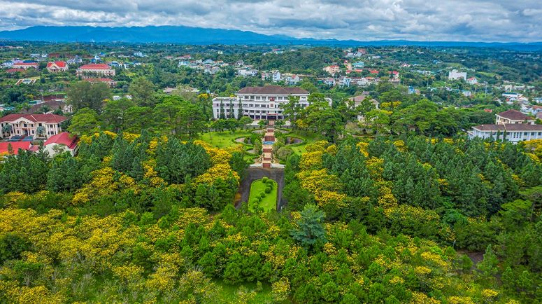 Dak Nong has a roadmap to reduce the number of employees receiving salaries from the budget. Photo: Dinh Thanh Hai