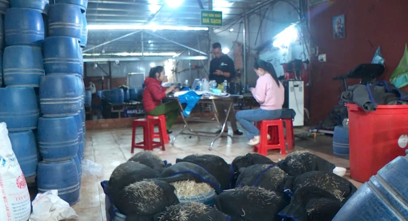 The Economic Police Department of Dak Lak Province Police recently inspected and discovered 6 bean sprout production facilities using toxic chemicals. Photo: Police