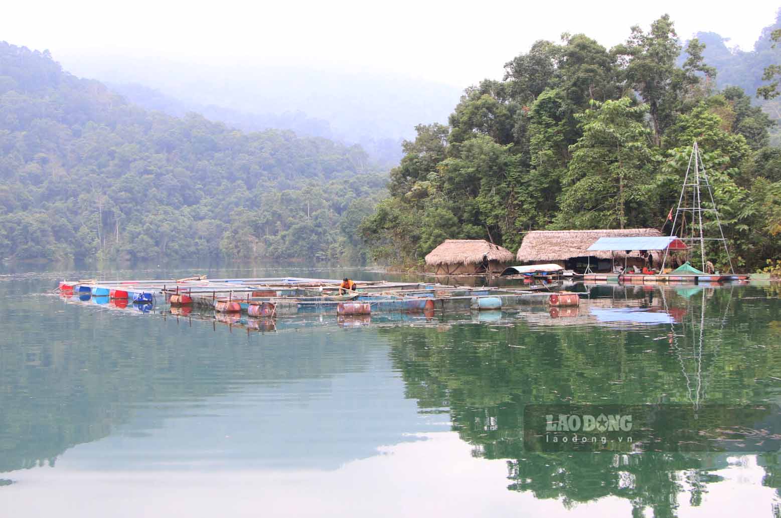 Vung long ho thuy dien Tuyen Quang rong hon 8.000 ha da tao thuan loi nuoi trong thuy san.