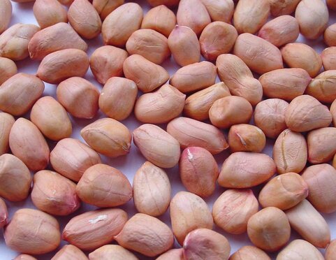 A simple way to lower blood sugar is to eat peanuts, but you have to do it the right way. Photo: Ha Anh