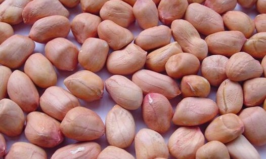 Cách hạ đường huyết đơn giản là ăn lạc nhưng phải đúng cách. Ảnh: Hà Anh