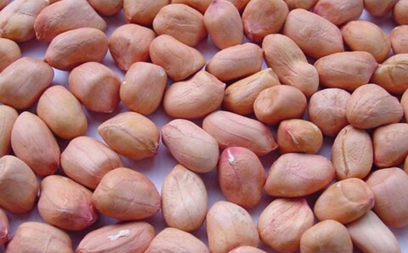 A simple way to lower blood sugar is to eat peanuts, but you have to do it the right way. Photo: Ha Anh