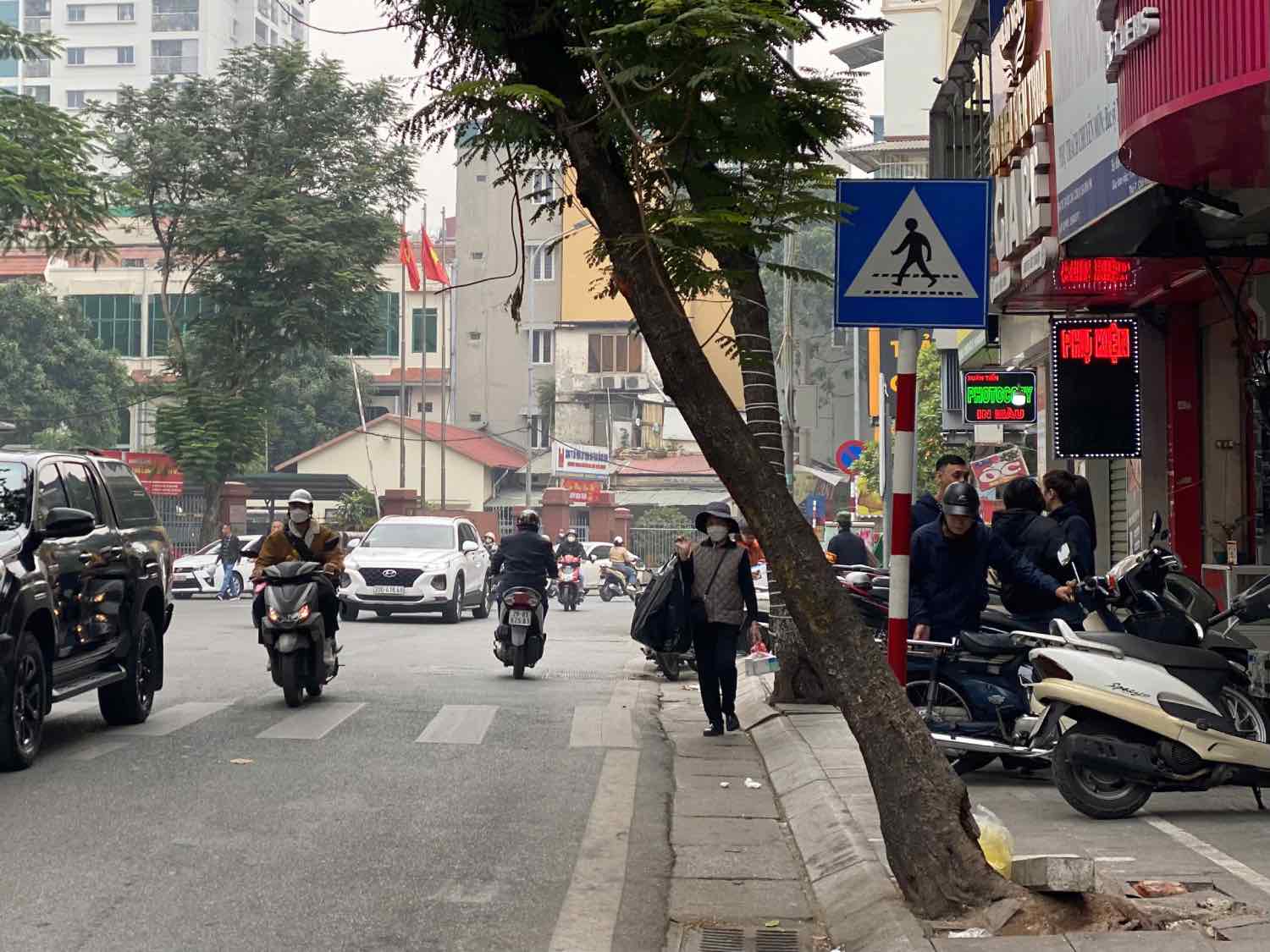 Cây xanh mọc nghiêng ra phía đường đi lại đầu ngã ba Đội Cấn - Đốc Ngữ. Ảnh: Nhật Minh