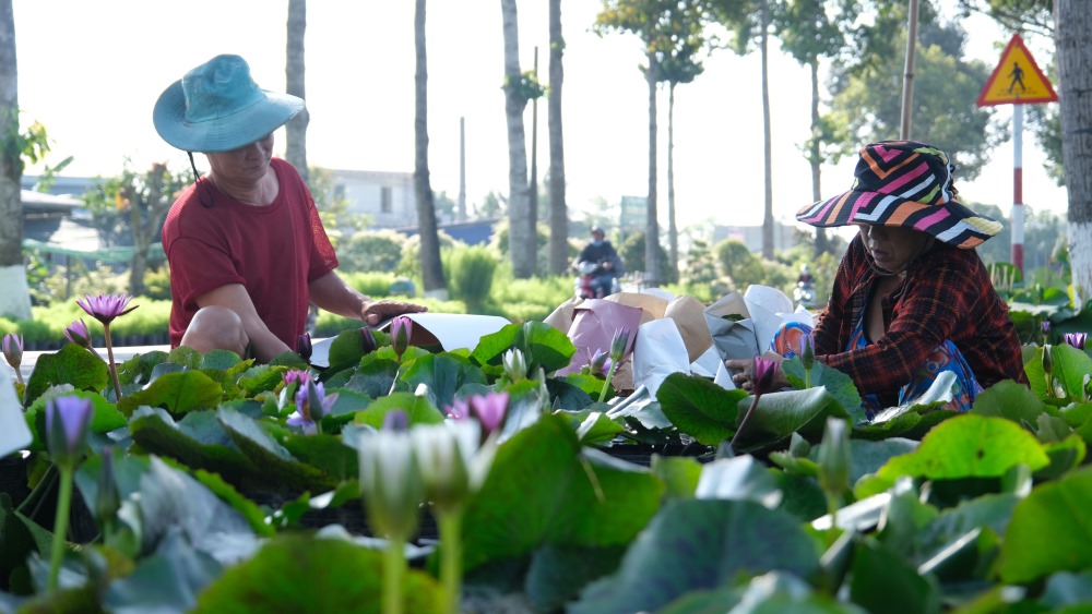 Gia dinh ba Tu goi hoa sung phuc vu khach dip Tet Nguyen dan At Ty nam 2025. Anh: Phong Linh.