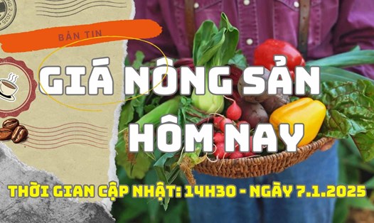 Giá nông sản hôm nay ngày 7.1.2025. Ảnh: Bảo Lâm