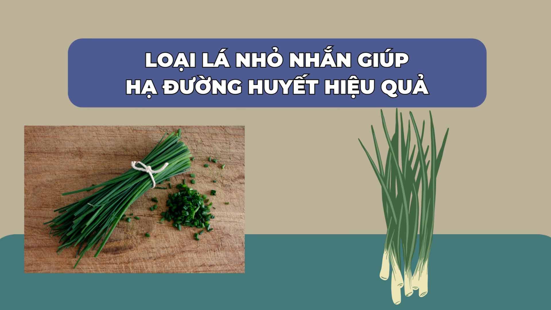 Small leaves help lower blood sugar effectively