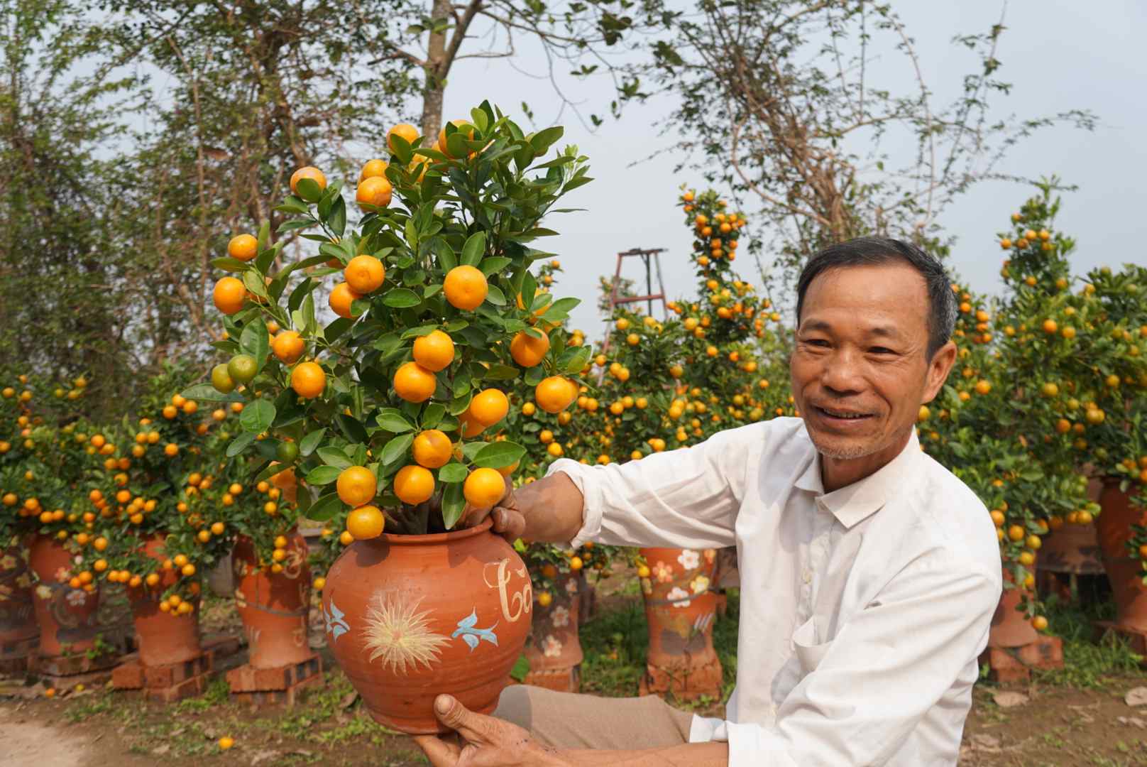 Voi nhung cay quat duoc trong trong chau, ong sap xep dat nga xuong dat, giup giam thieu hu hong chau. Nho su chuan bi ky luong nay, vuon quat cua gia dinh ong van xanh tot sau bao.