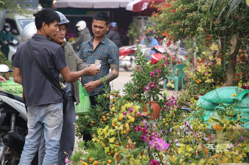 Các gian hàng hoa bày biện công phu, đa dạng mẫu mã.