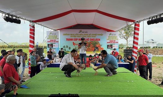 Chọi gà nghệ thuật trong lễ hội hoa, kiểng Chợ Lách. Ảnh: Hoàng Lộc