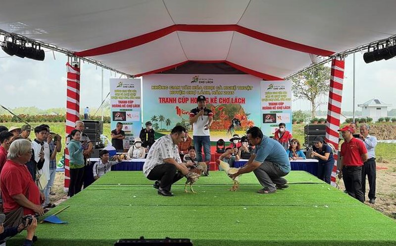 Artistic cockfighting at Cho Lach flower and ornamental plant festival. Photo: Hoang Loc