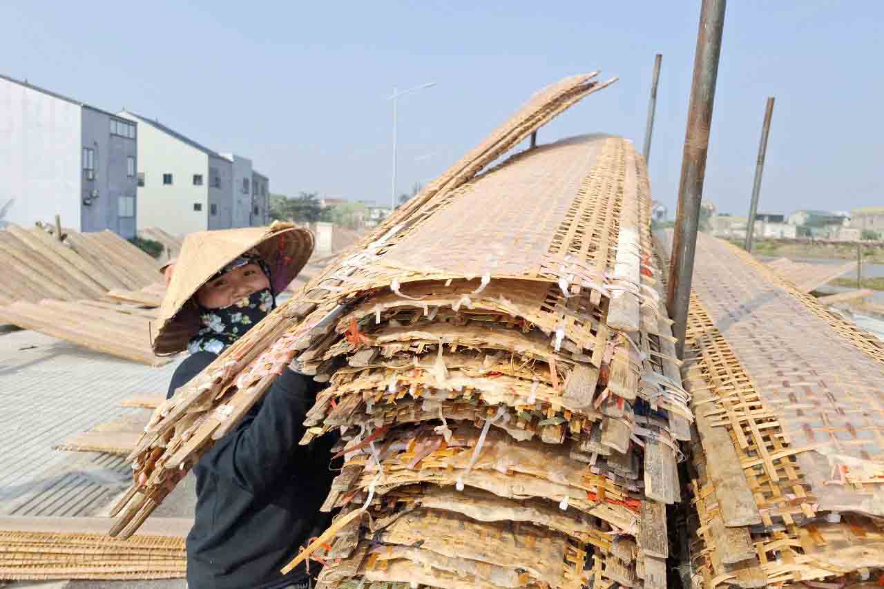 Ms. Dao is collecting dried rice paper to sell during Tet. Photo: Tran Tuan.