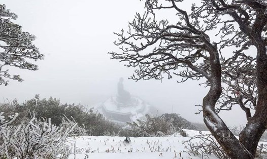 Băng tuyết tại Sa Pa dịp cuối năm 2022. Ảnh: Văn Đức