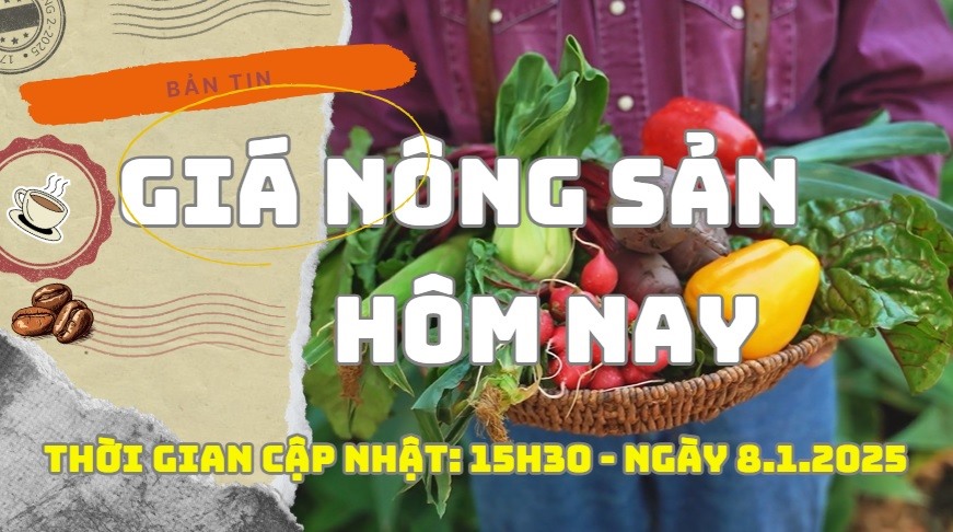 Agricultural product prices today, January 8, 2025. Photo: Bao Lam