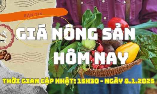 Giá nông sản hôm nay ngày 8.1.2025. Ảnh: Bảo Lâm