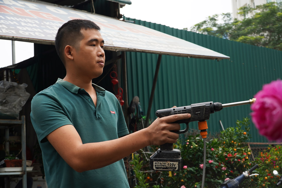 Anh Nguyen Hung - tieu thuong ban cay tai day cho biet, do nhieu yeu to ve thoi tiet nen thoi diem hien tai cac loai quat chua ra nhieu nu hoa (hay con goi la loc hoa). Tuy nhien, khoang gan Tet ong Cong ong Tao mat do loc hoa se ra nhieu hon, cay se tro nen dep hon.