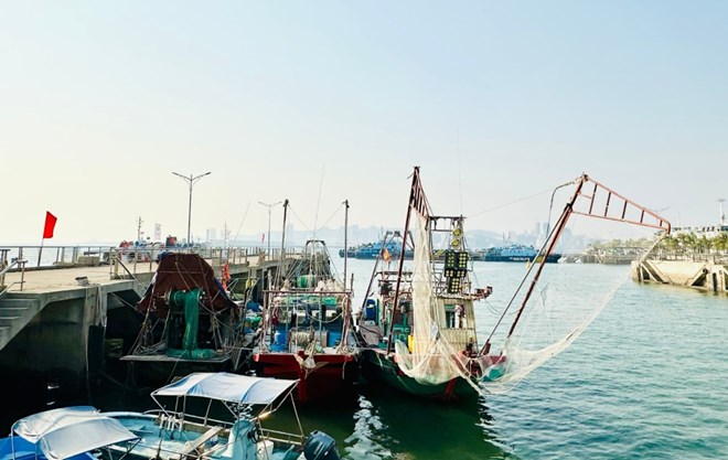 Cac phuong tien danh bat trai phep trong vung loi vinh Ha Long bi thu giu va dua ve cang Ben Doan, TP Ha Long. Anh: Ban Quan ly vinh Ha Long 