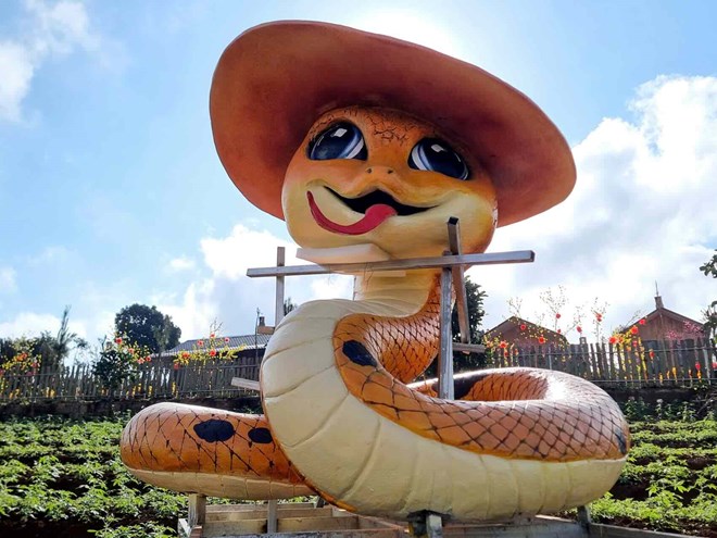 The snake mascot has been "storming" the online community recently in Quang Tri. Photo: Huu Van