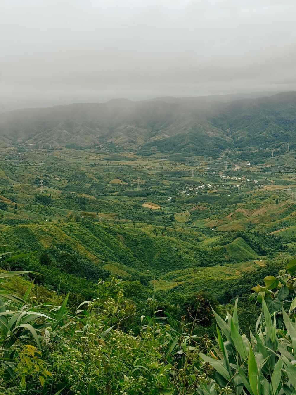 Đặc biệt, cách đèo Violak chỉ 50km là Măng Đen – “thiên đường” du lịch lý tưởng cho những người thích sự yên bình, tĩnh lặng, gần gũi thiên nhiên, phù hợp để “sạc năng lượng” sau những giây phút học tập và làm việc mệt mỏi. Ảnh: La Phan