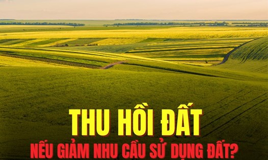Người sử dụng đất giảm nhu cầu sử dụng đất mà có văn bản trả lại đất của người sử dụng đất thì Nhà nước sẽ thực hiện thu hồi đất. Đồ họa: Hoài Lan