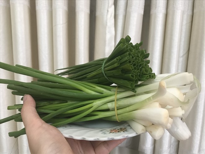 Global medical studies have shown that green onions are rich in vitamins A, C, K, fiber, and sulfur compounds, contributing to overall health support. Photo: Thanh Ngoc.