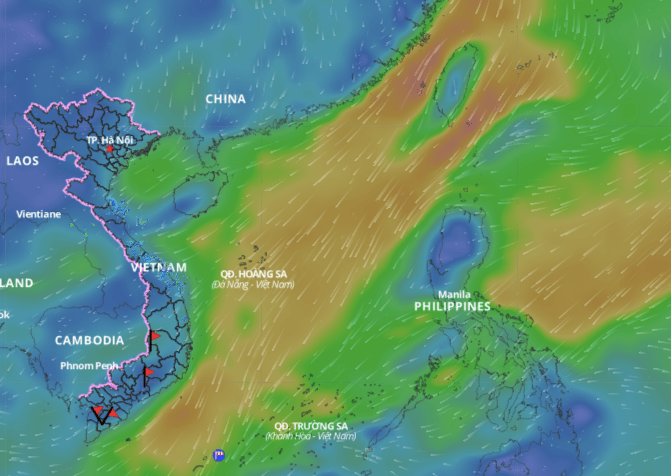 The strengthening cold air will cause bad weather in many coastal areas of the East Sea. Above is the image of the wind direction layer over the sea updated at 11am on January 9. Photo: Vietnam Natural Disaster Monitoring System