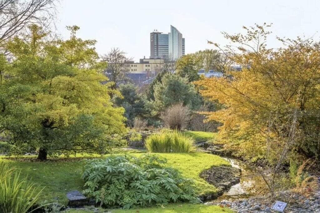 A green park in Oslo. Photo: Sustain Europe
