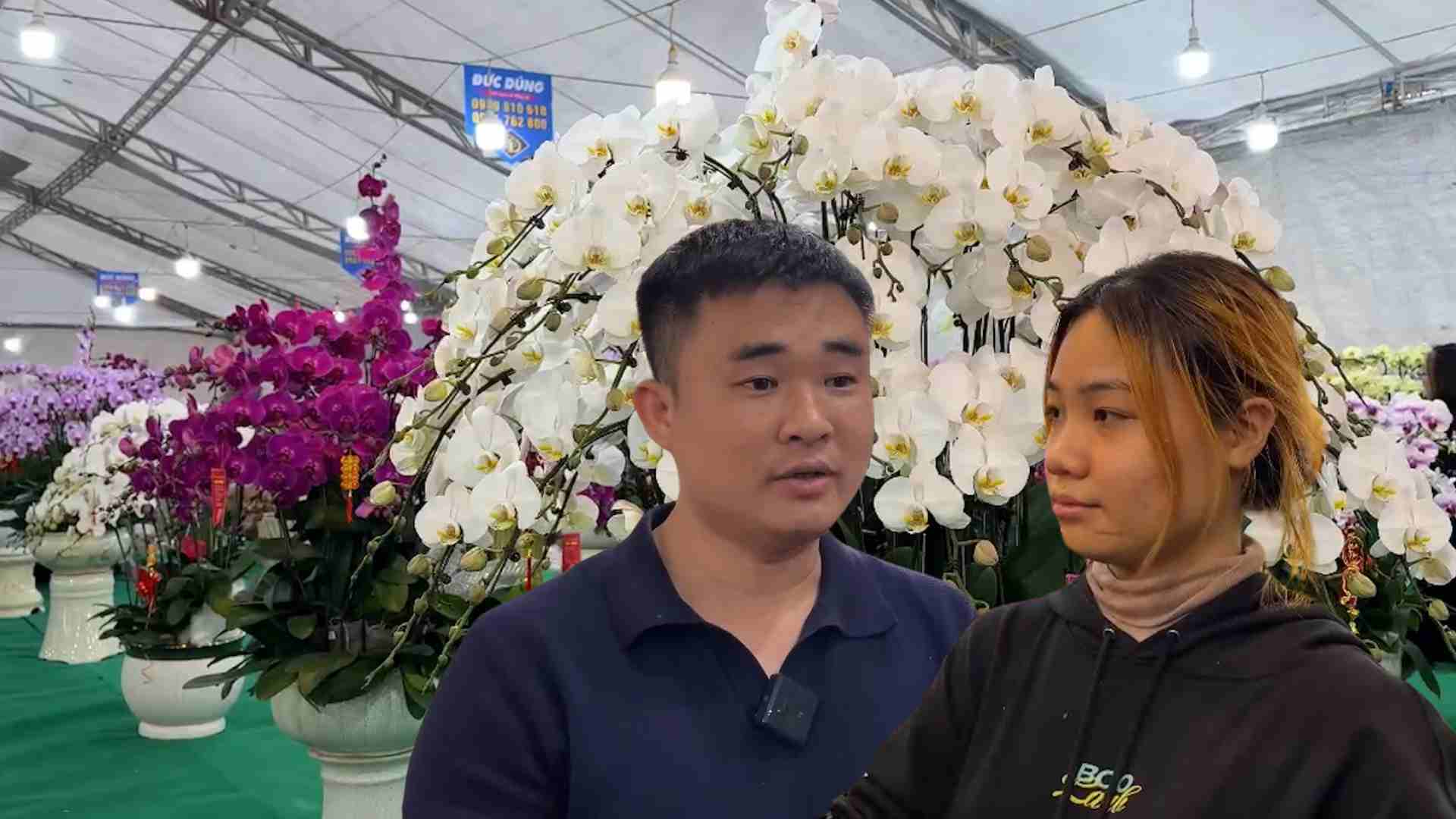 Orchids flock to Hanoi to attract customers to buy for Tet