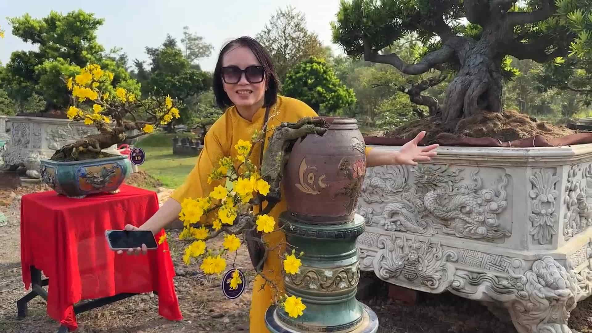 People eagerly attend the "Bonsai - yellow apricot" contest