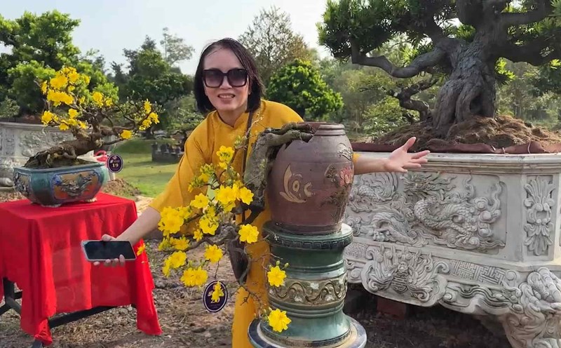 People eagerly attend the "Bonsai - yellow apricot" contest
