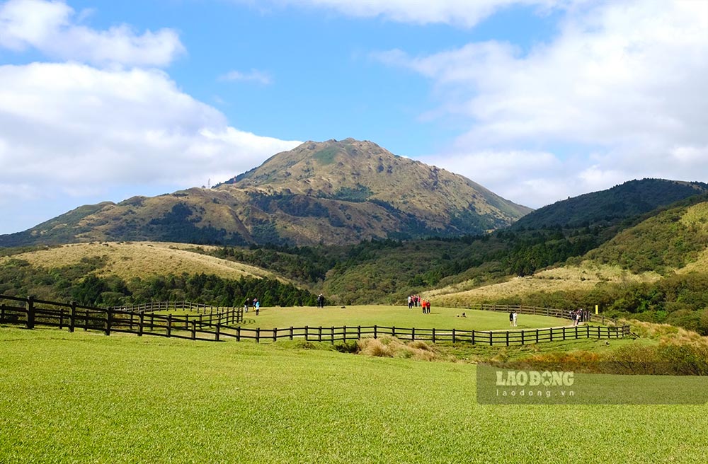 Đồng cỏ Qingtiangang, một điểm đến thuộc Vườn quốc gia Yangmingshan ở phía bắc thành phố Đài Bắc. Ảnh: Hương Chi