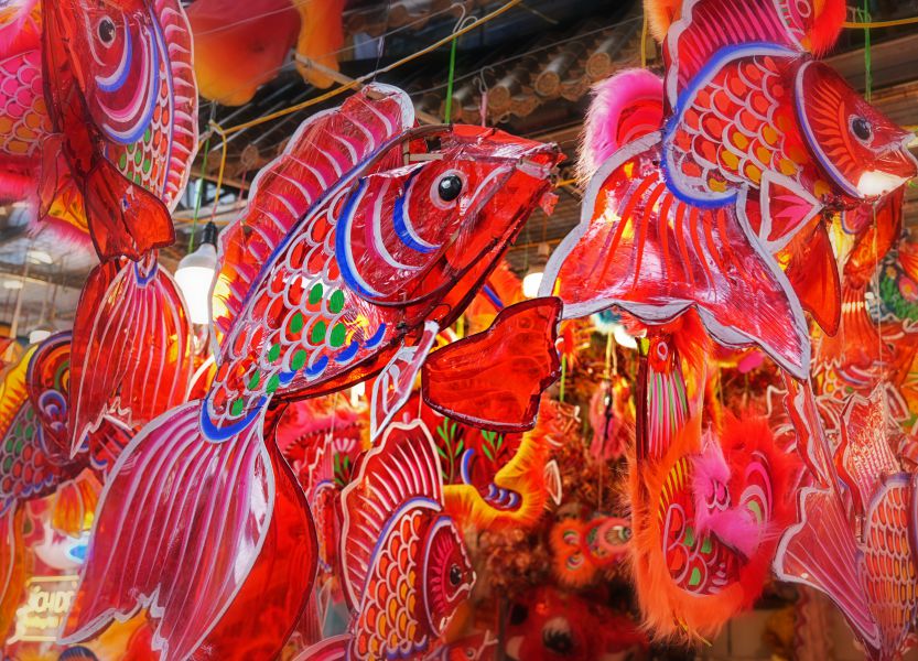 Hinh anh ca chep xuat hien tran ngap. Gan voi tich Ca chep vuot vu mon hoa rong, ca chep la bieu tuong cua su kien tri, may man, thanh cong.  Anh: Viet Van
